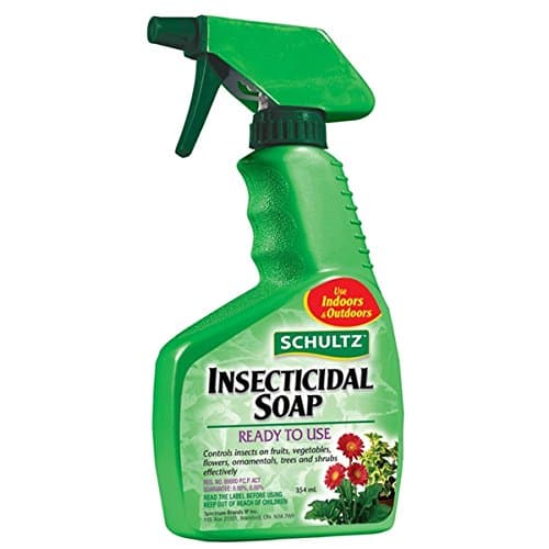 Savon insecticide