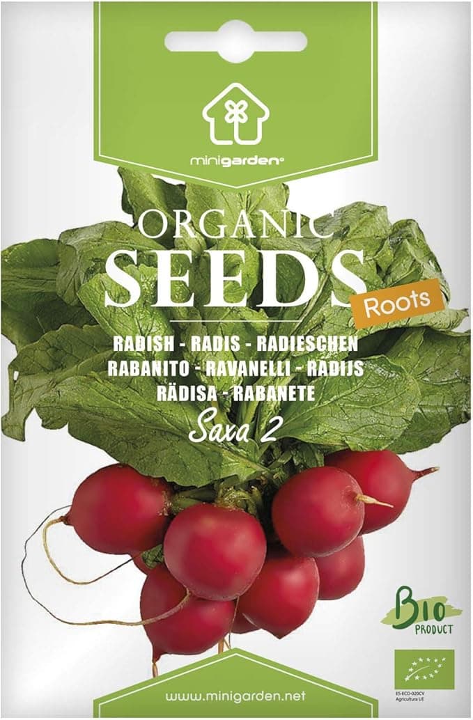 Graines de Radis 