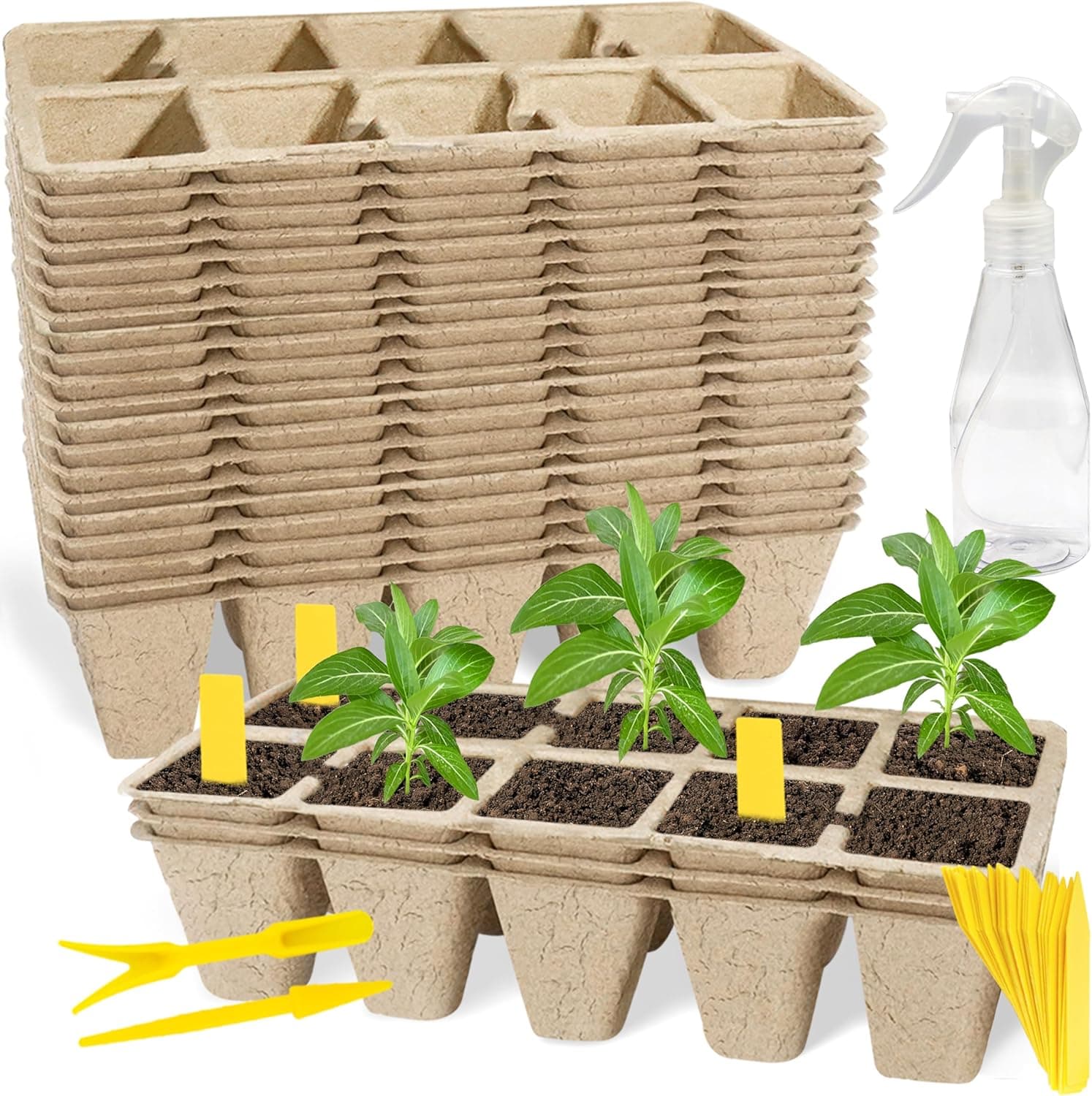 Plateau de démarrage de graines