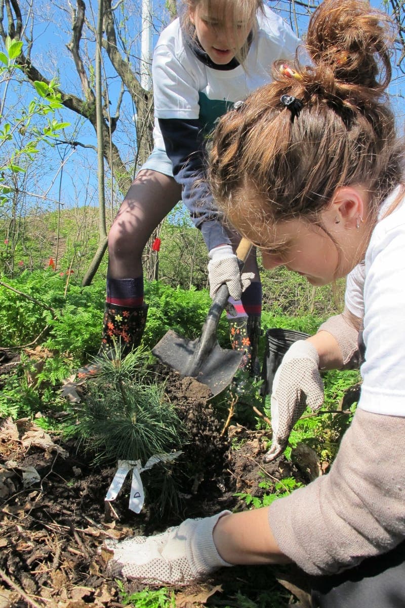 ÈVE LEVESQUE/AGENCE QMI