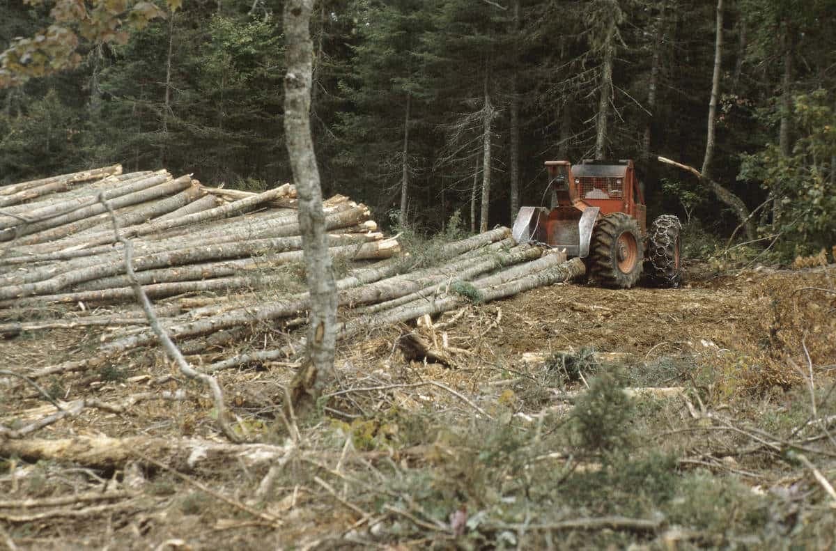 [photographe]/[choisir le journal]/Agence QMi