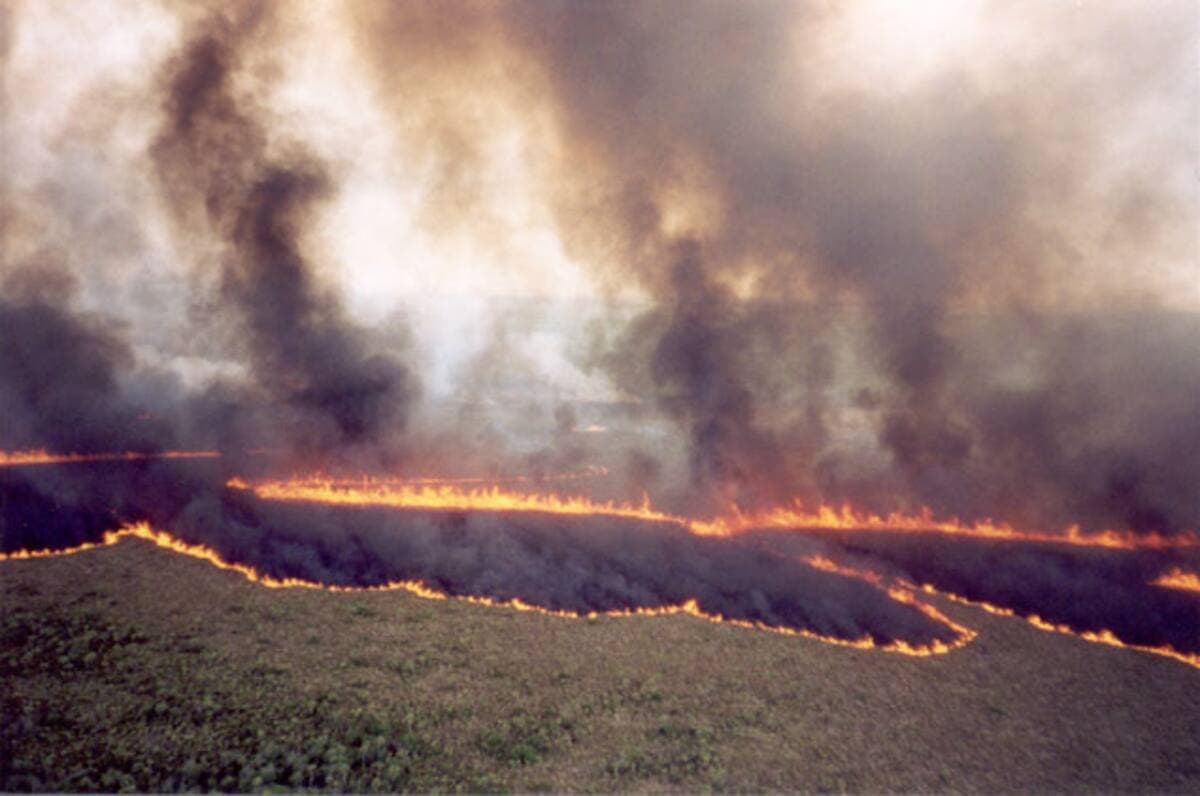 Le danger d'incendie continue d'augmenter dans les forêts du Québec. De nombreux incendies sont présentement en activité dans le Nord-du-Québec selon la Société de protection des forêts contre le feu (SOPFEU) et la situation pourrait empirer, car aucune pluie n'est prévue au cours des prochains jours. Voici une photo prise le vendredi 5 juillet 2013. DOMINIC V./MON TOPO/TVA NOUVELLES/AGENCE QMI