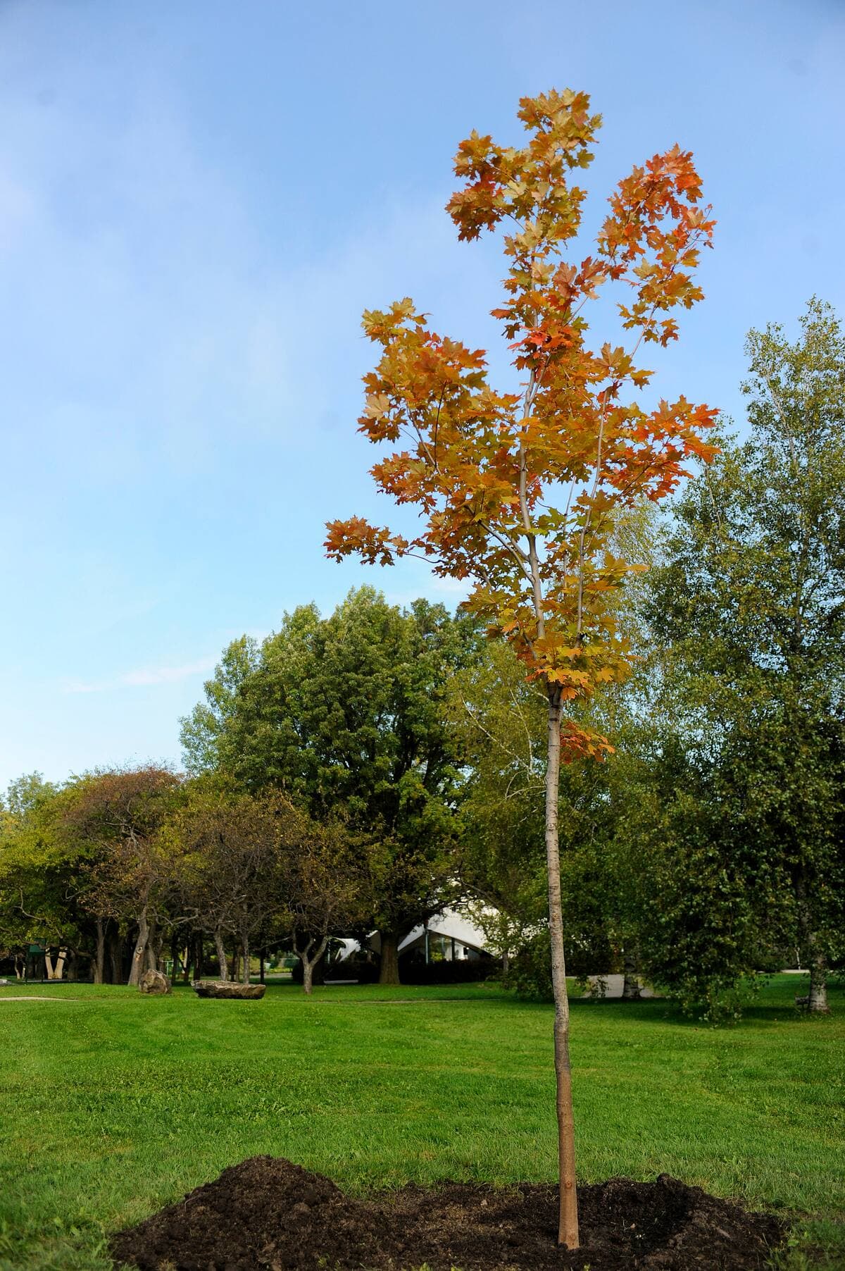 Éric Bolté/24 Heures/Agence QMI