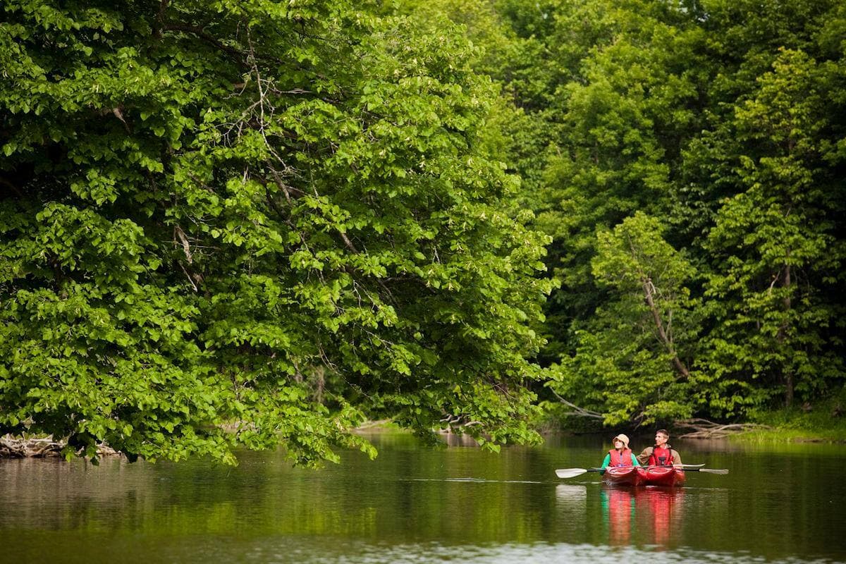 COURTOISIE PARC NATIONAL DE PLAISANCE/MATHIEU DUPUIS