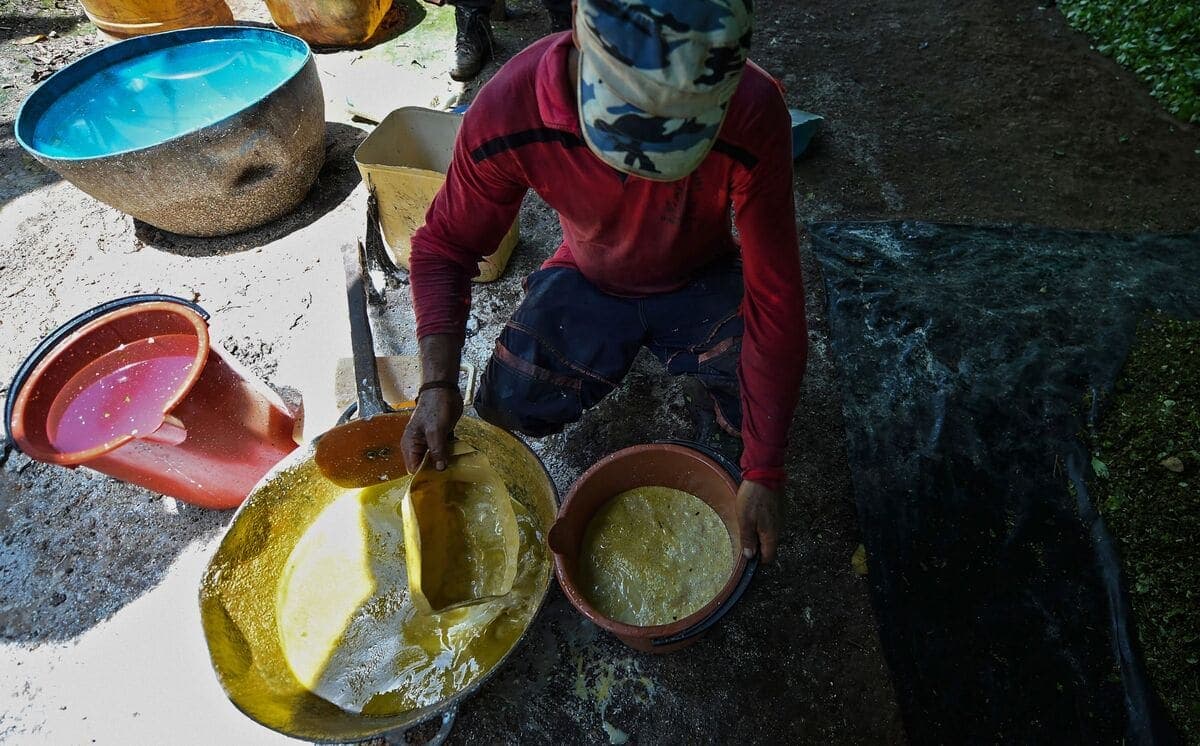 Un agriculteur traite des feuilles de coca pour fabriquer de la pâte de cocaïne dans une ferme clandestine du département de Guaviare, en Colombie, en 2017.
