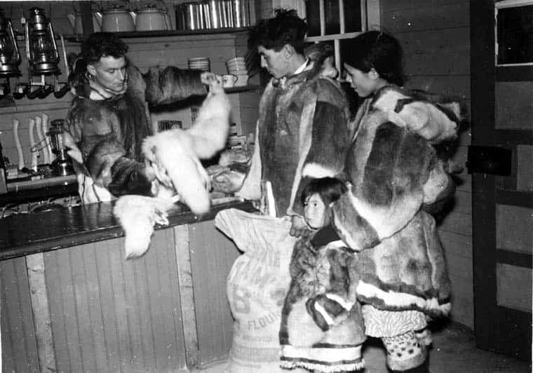Un couple de chasseurs présentent leurs peaux de renard au comptoir de la Compagnie de la baie d’Hudson, le 17 septembre 1945 à Pangnirtung, dans le Nunavut. Source : Bibliothèque et Archive Canada