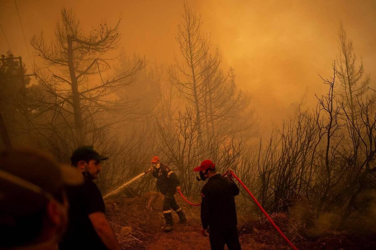 Des feux de forêt font rage en Grèce.