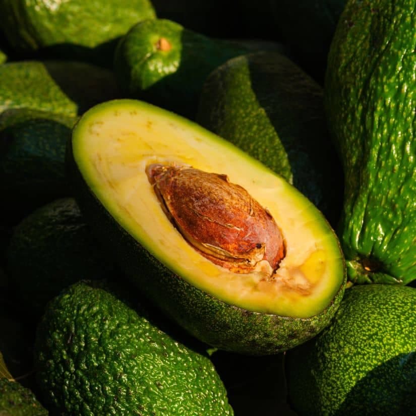 Manger un avocat bruni: est-ce dangereux?