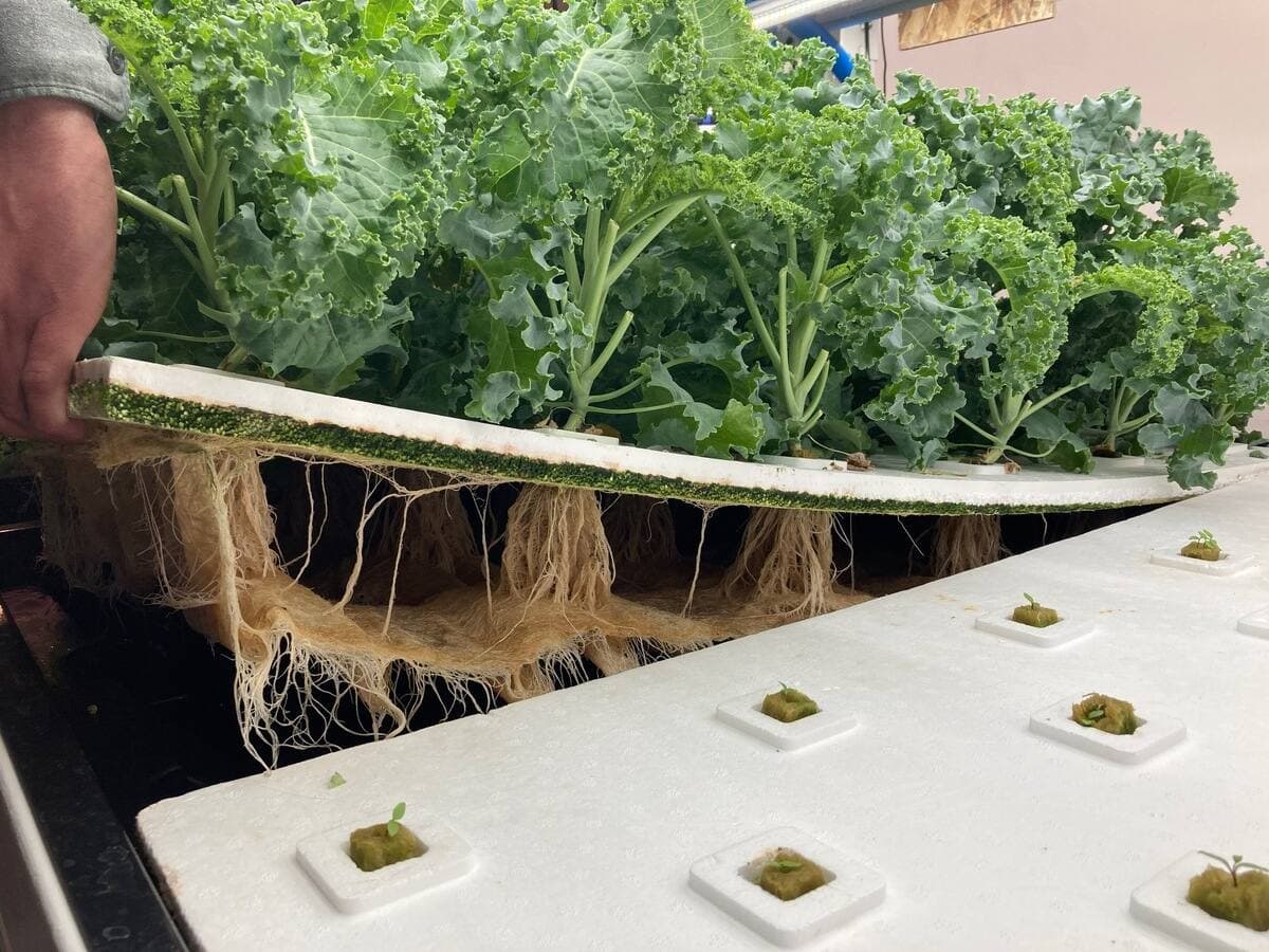 Photo AGENCE QMI, Geneviève Quessy