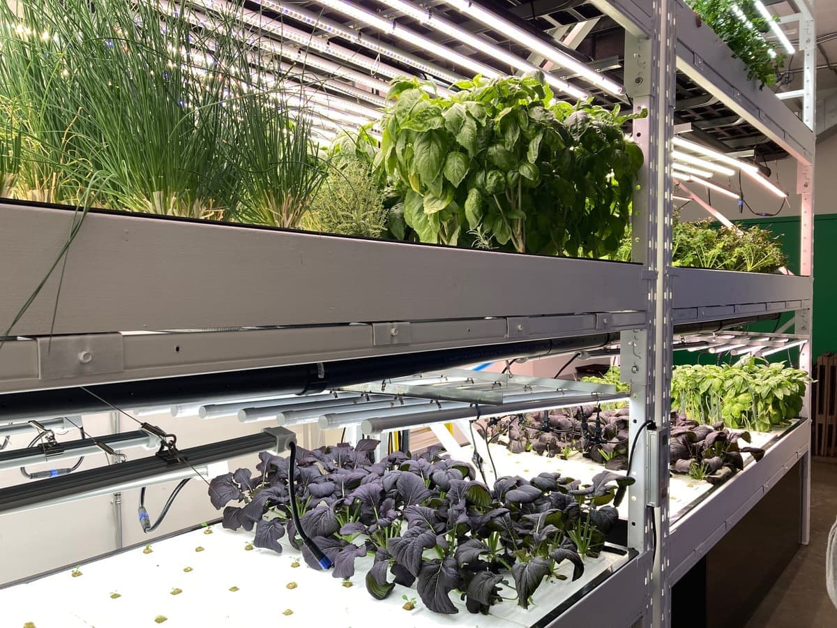 Photo AGENCE QMI, Geneviève Quessy