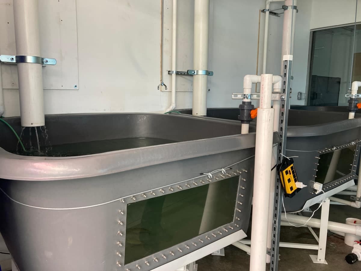 Photo AGENCE QMI, Geneviève Quessy