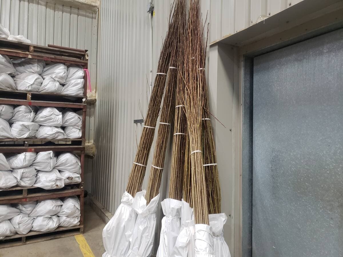 Simon Dessureault / AGENCE QMI