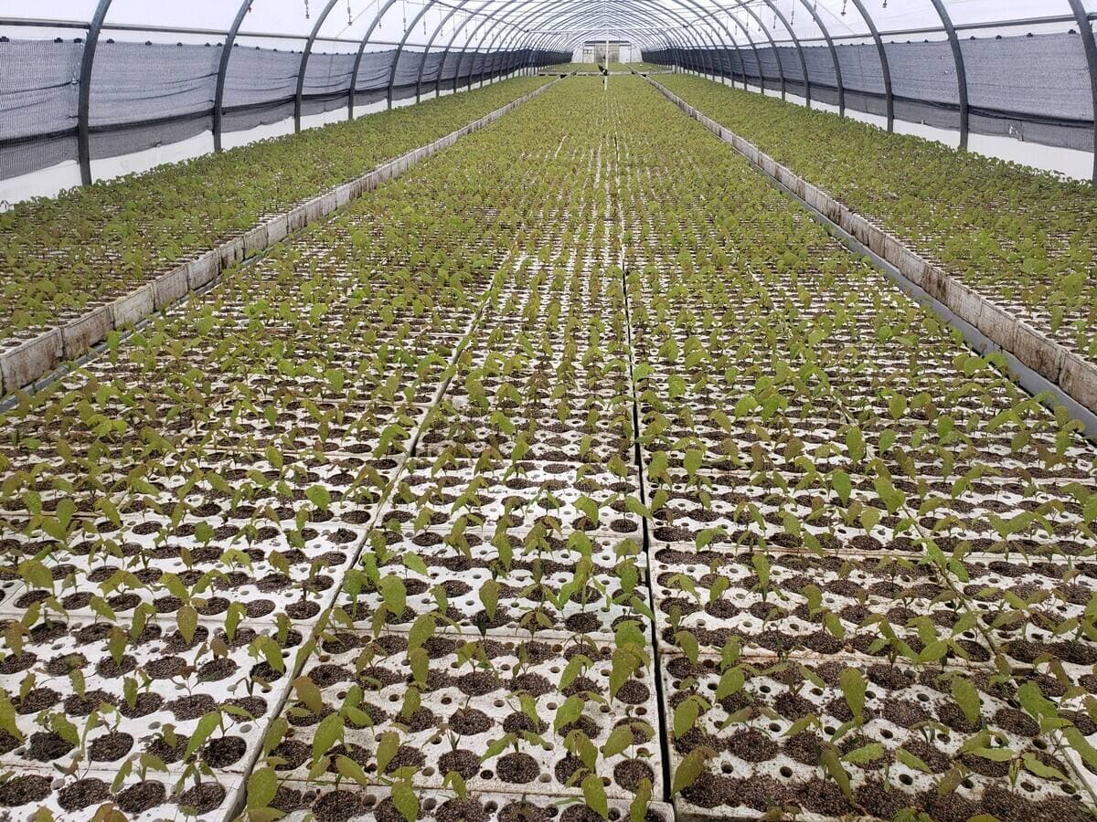 Simon Dessureault / AGENCE QMI