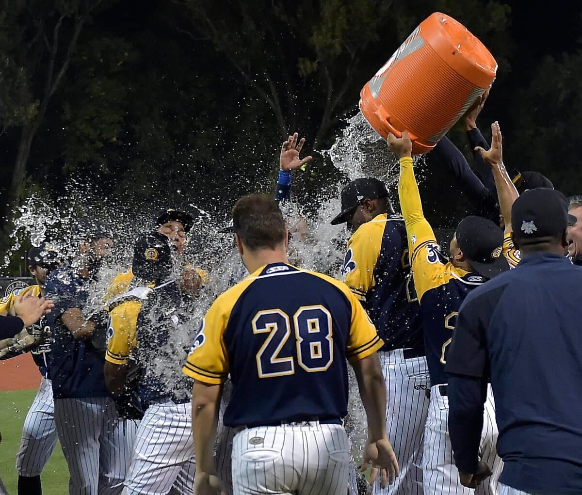 PHOTO DIDIER DEBUSSCHERE