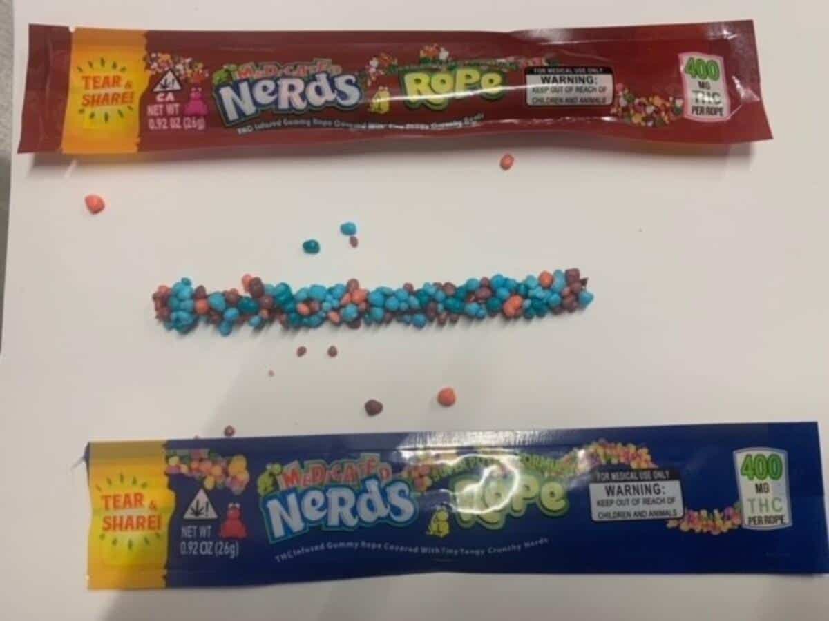 PHOTO COURTOISIE/SPVM