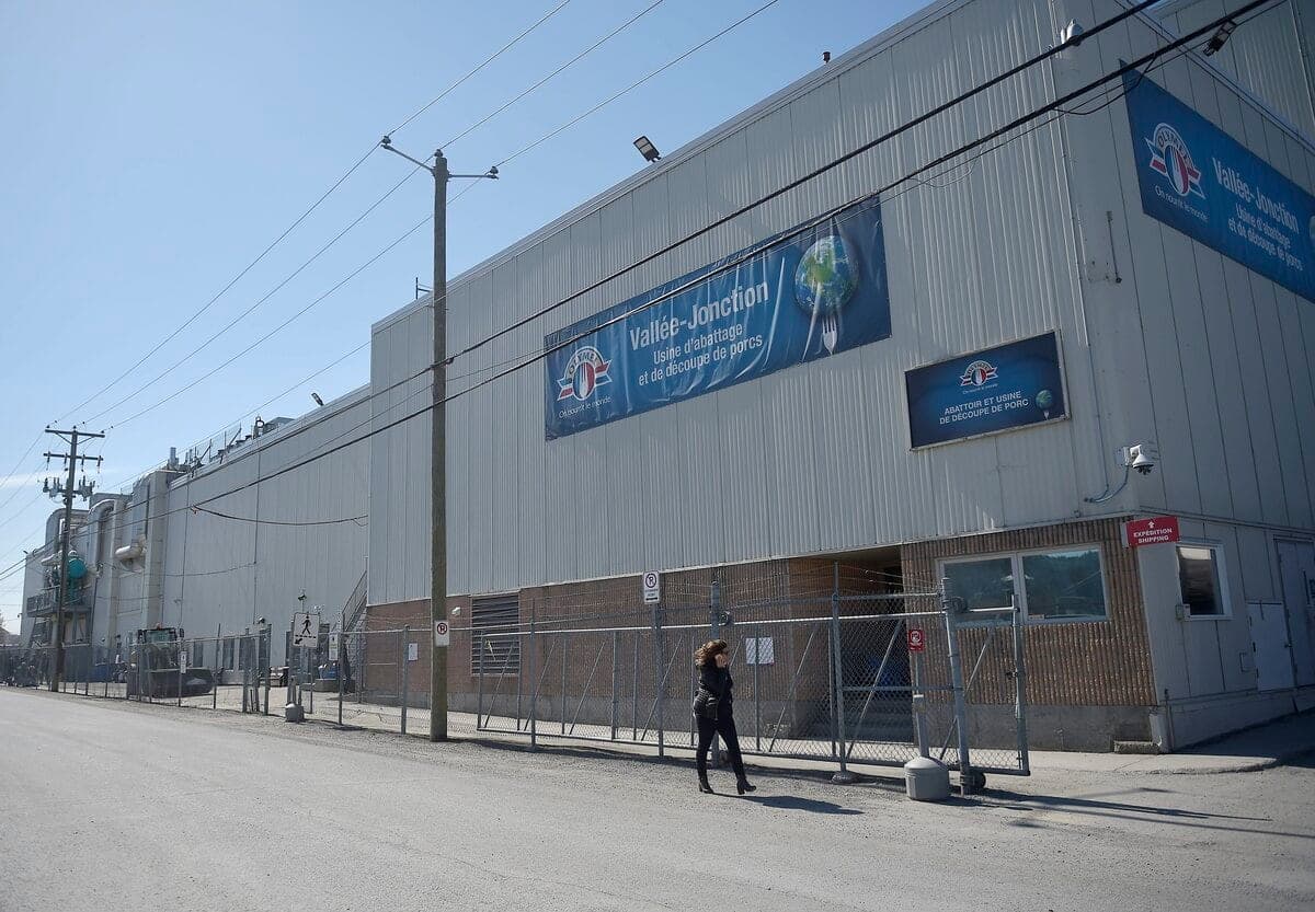 PHOTO DIDIER DEBUSSCHÈRE