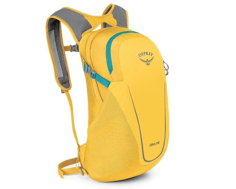 Sac de jour léger Osprey, 75 $