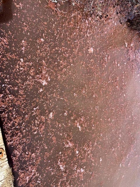 Photo Courtoisie Association du Lac Fortune