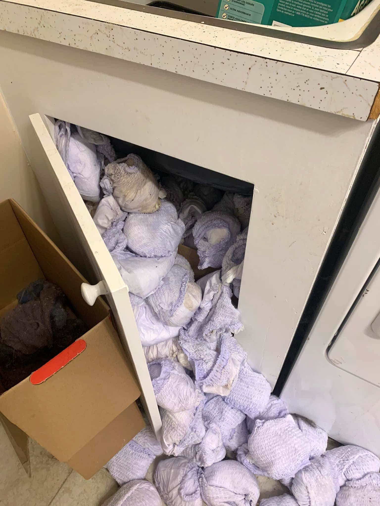 Photo tirée de Facebook