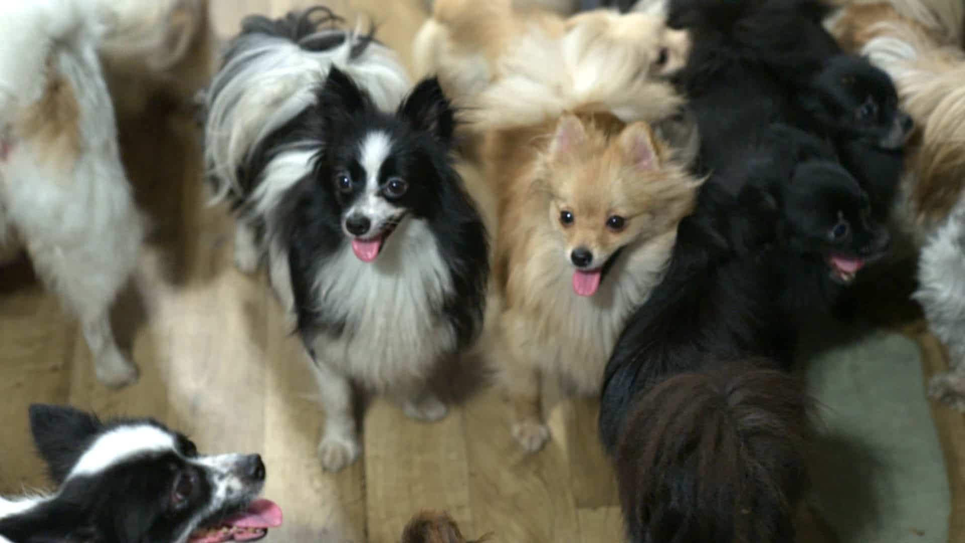 Capture d'écran, J.E