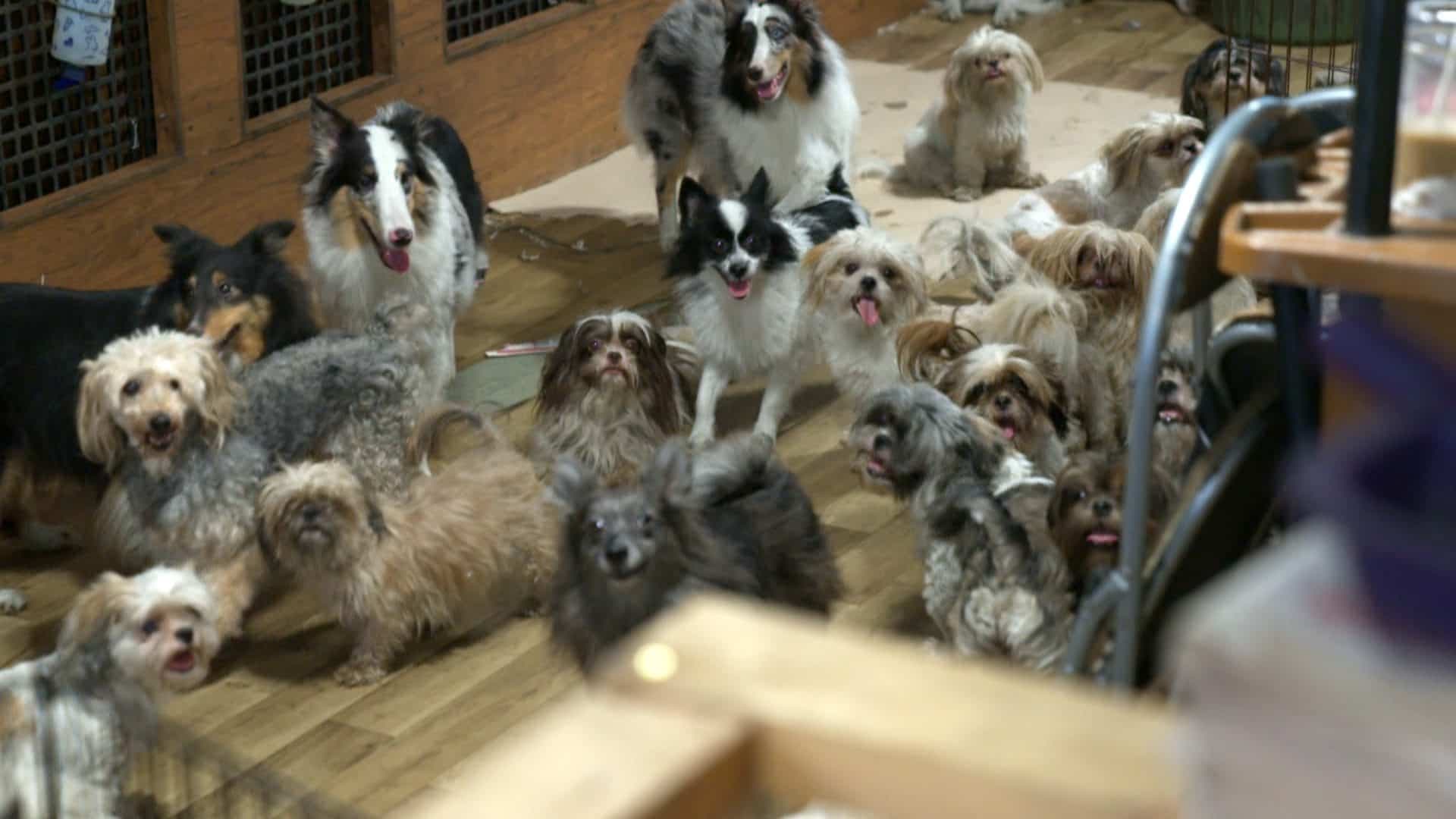 Capture d'écran, J.E