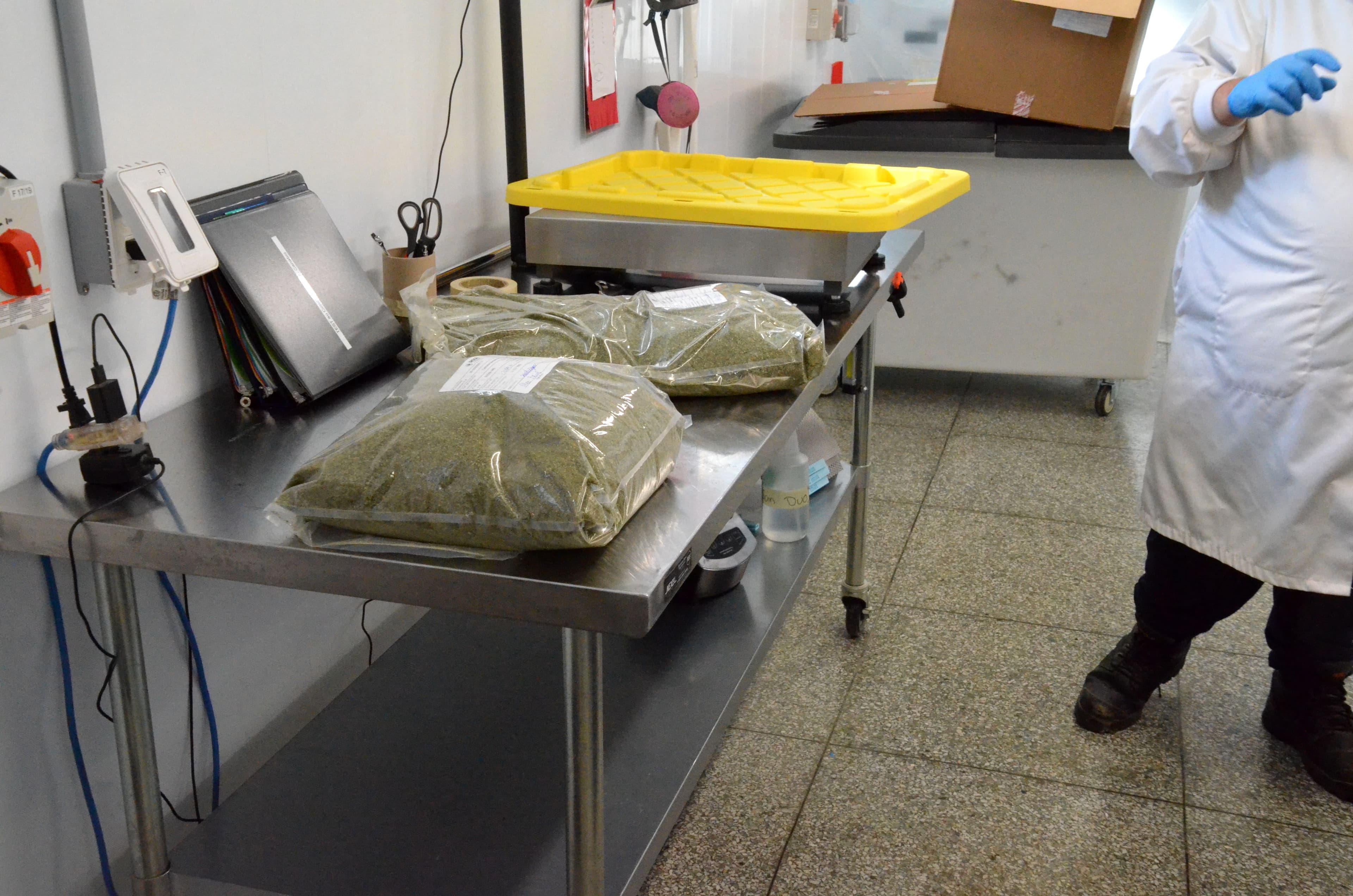 Photo Jonathan Tremblay