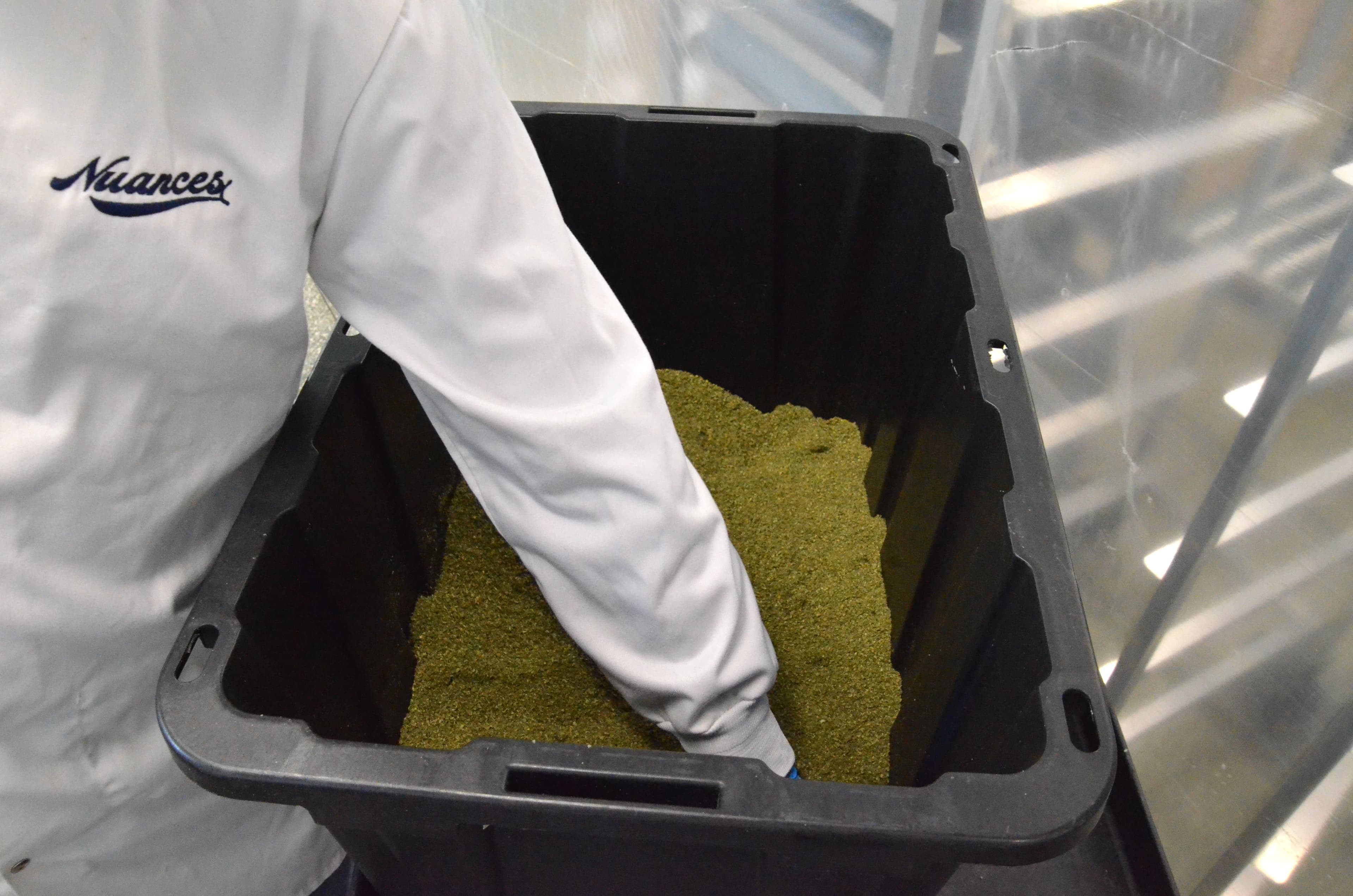 Photo Jonathan Tremblay