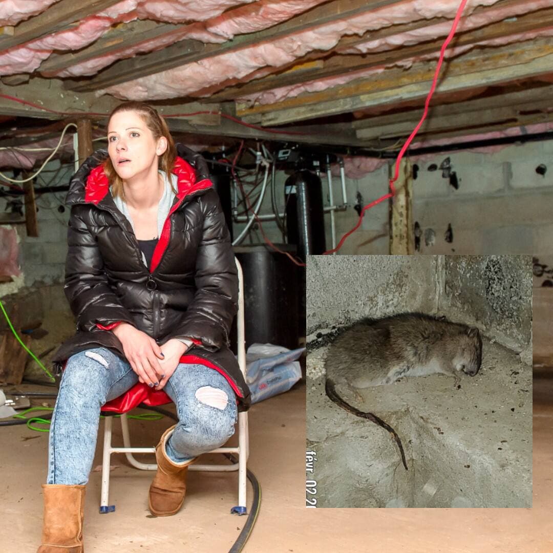 Emmanuelle Viens-Juillet, une locataire qui se bat pour que son propriétaire répare sa maison louée à Rigaud. En mortaise, un rat d'une trentaine de centimètres trouvé par Mme Viens-Juillet dans son sous-sol où elle pose.
