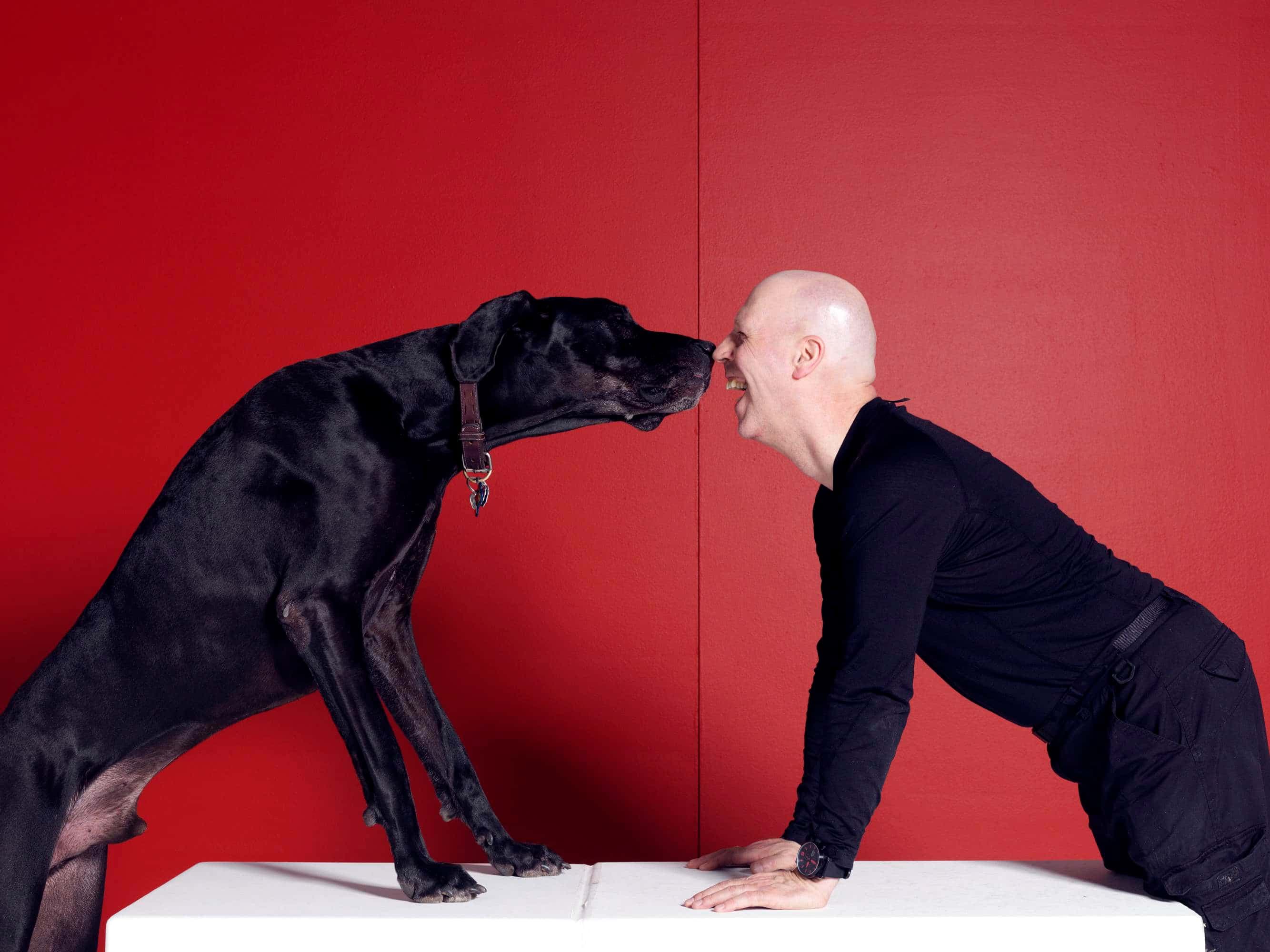 Virus, un dogue allemand (grand danois) de 11 ans et son maître, l'avocat spécialiste en droit animalier Bernard T. Raymond.