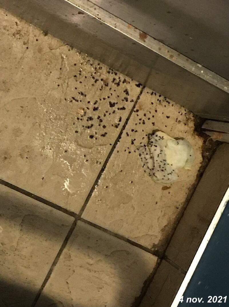 Photo fournie par le ministère de la Famille