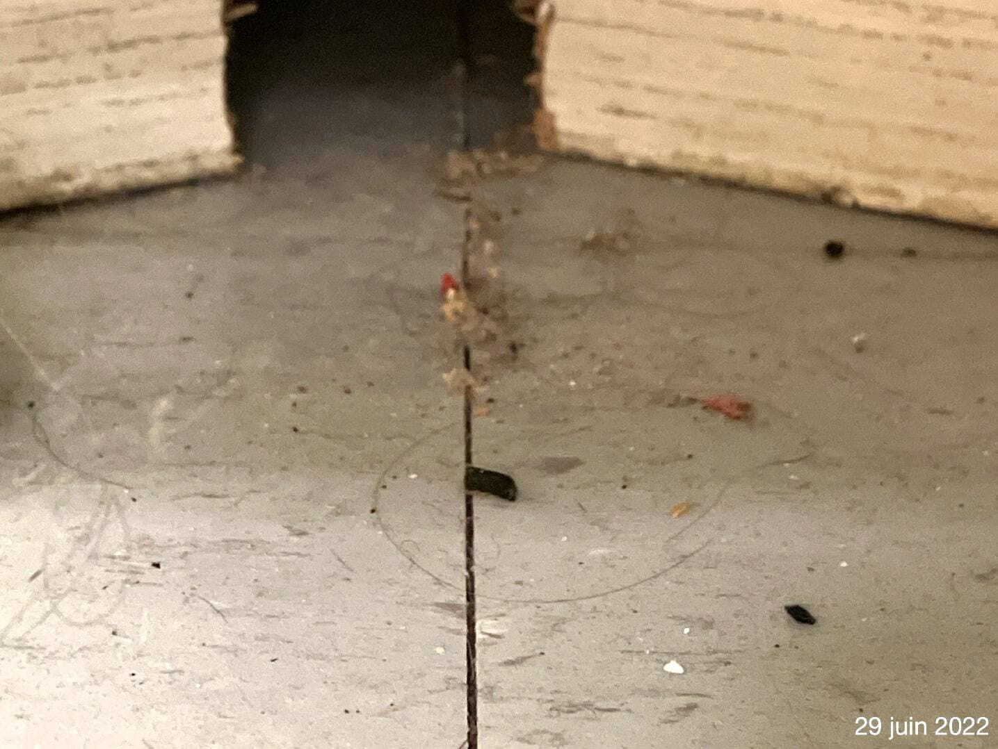 Photo fournie par le ministère de la Famille