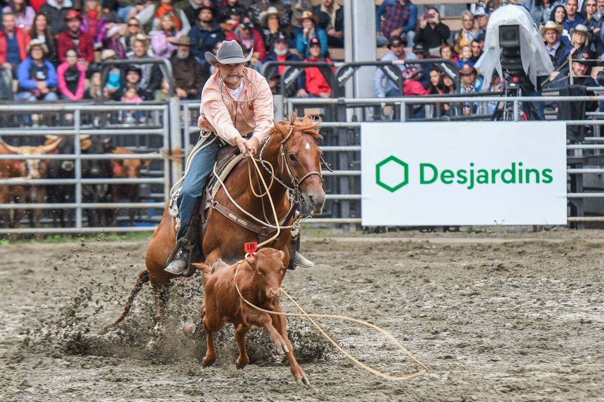 Le groupe Droit animalier Québec cherchait notamment à faire interdire la prise du veau au lasso dans le cadre du Festival western de St-Tite.