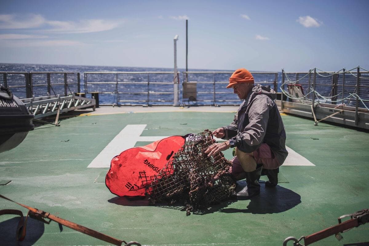 Le biologiste marin à la retraite, le professeur Robert Anderson examinant un filet fantôme à bord d'un bateau de Greenpeace, en octobre 2019.