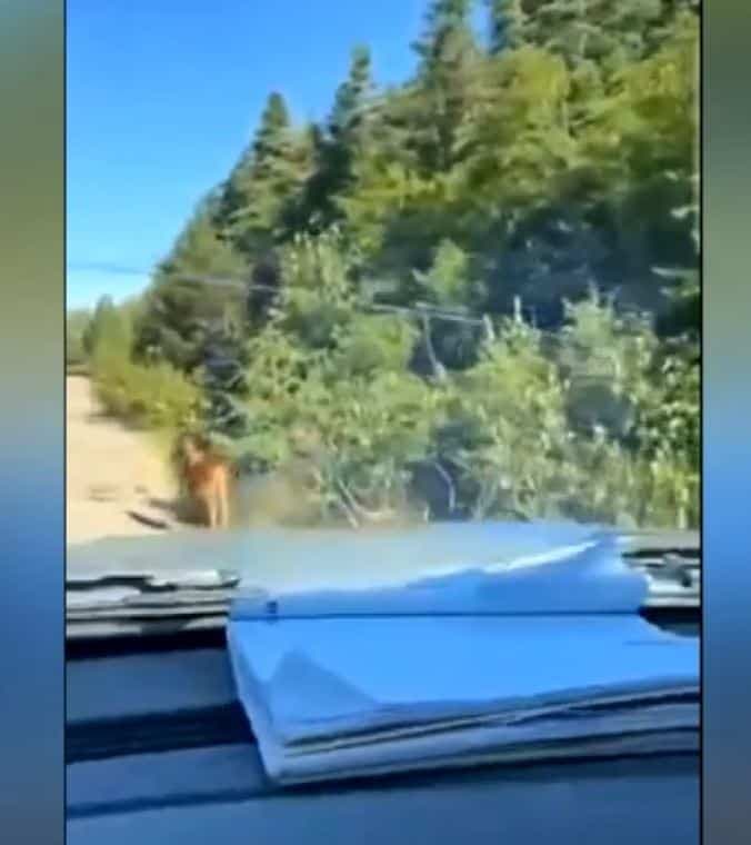 Capture d'écran | Snapchat