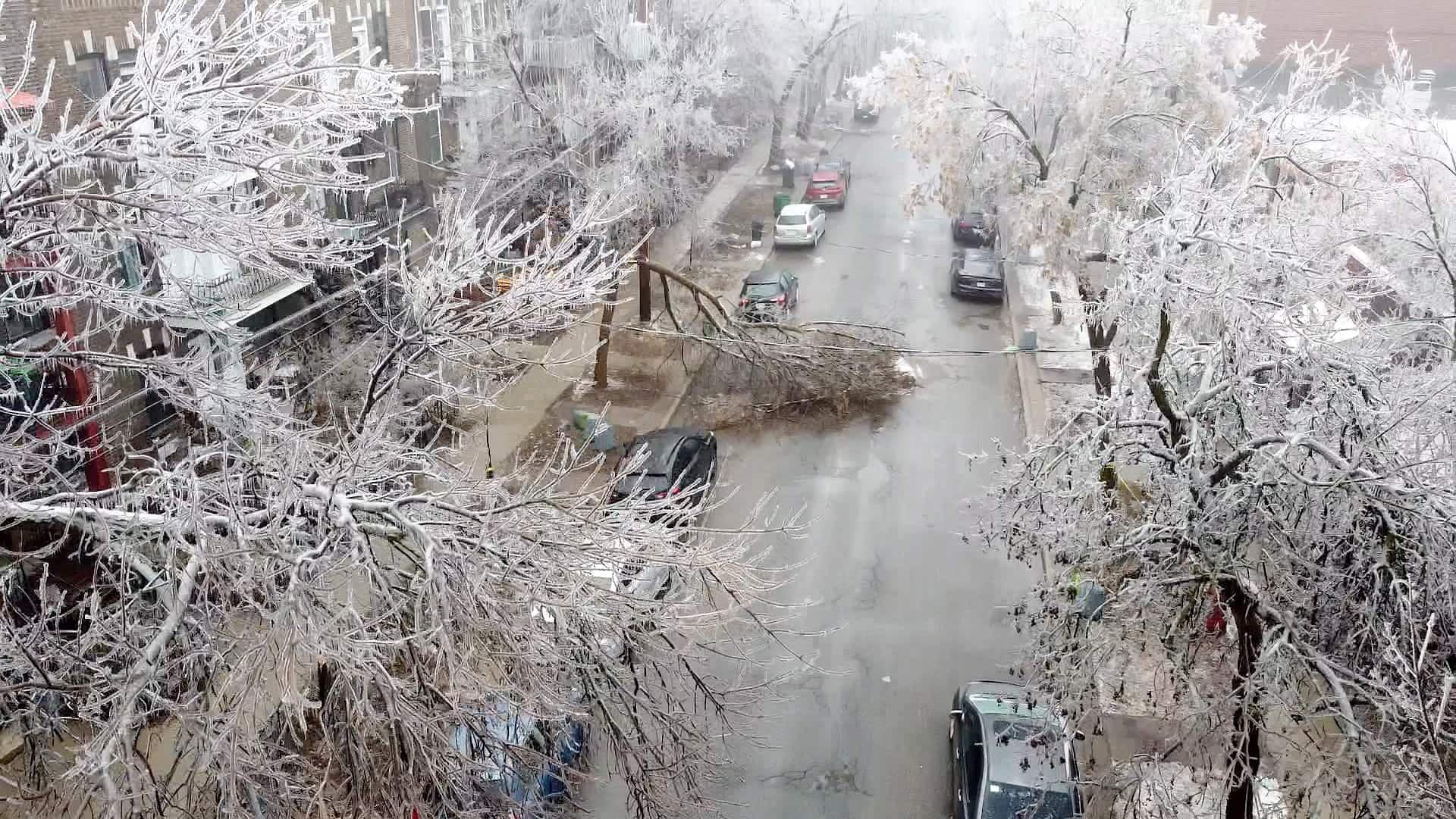 On comptait par centaines les arbres et les branches qui bloquaient les rues de Montréal ce jeudi.