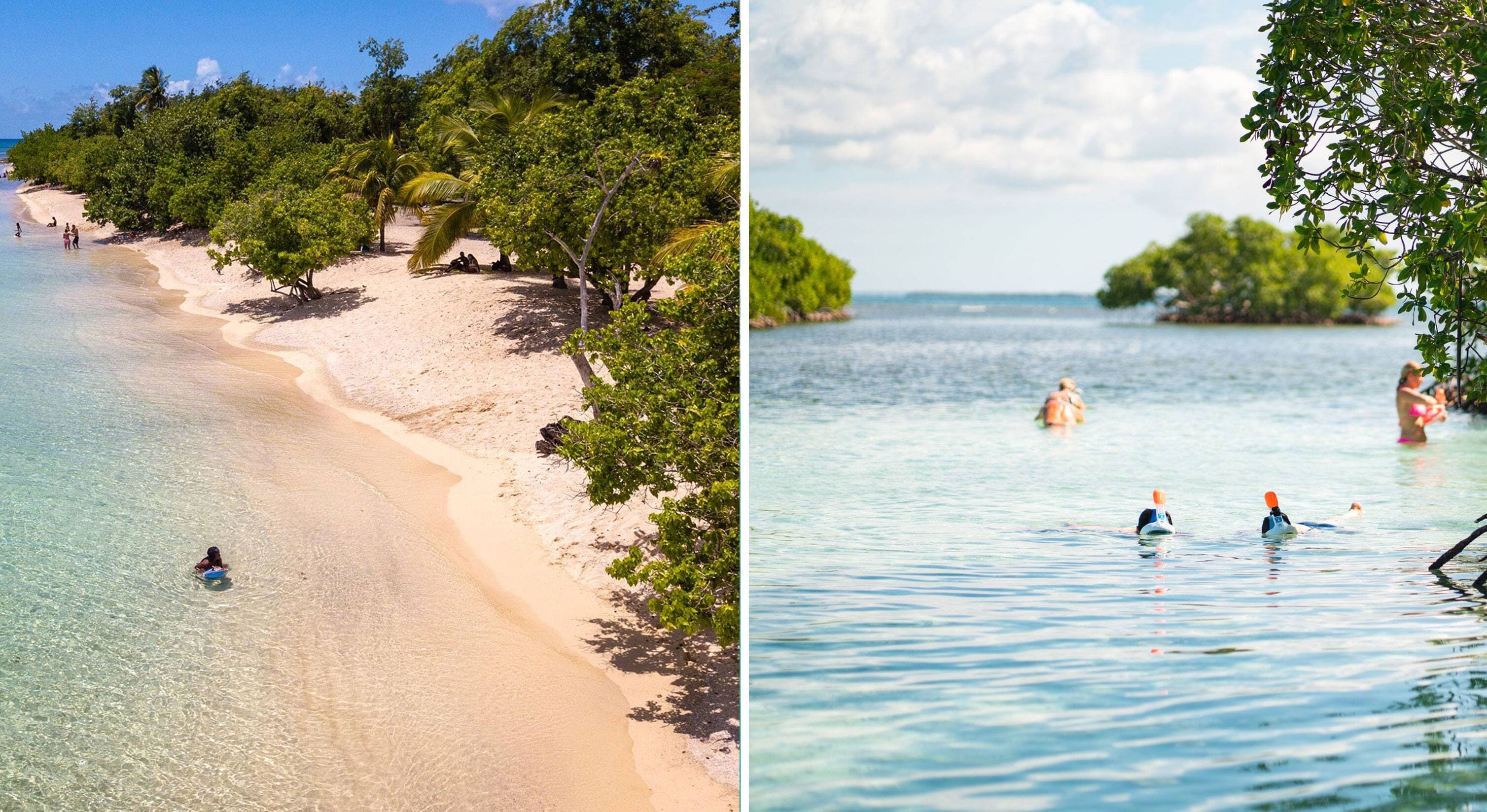 Courtoisie: Îles de la Guadeloupe