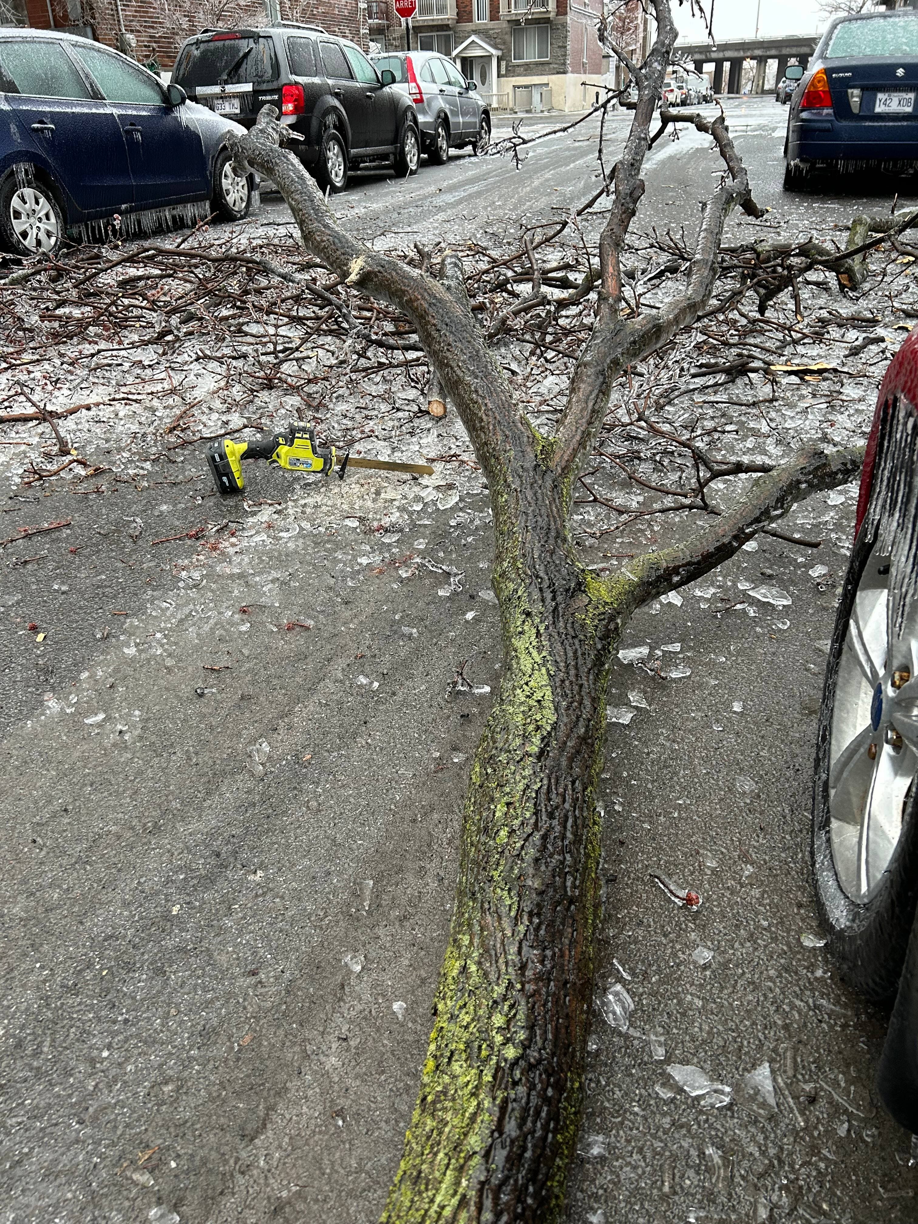Courtoisie Louis-André, Villeray