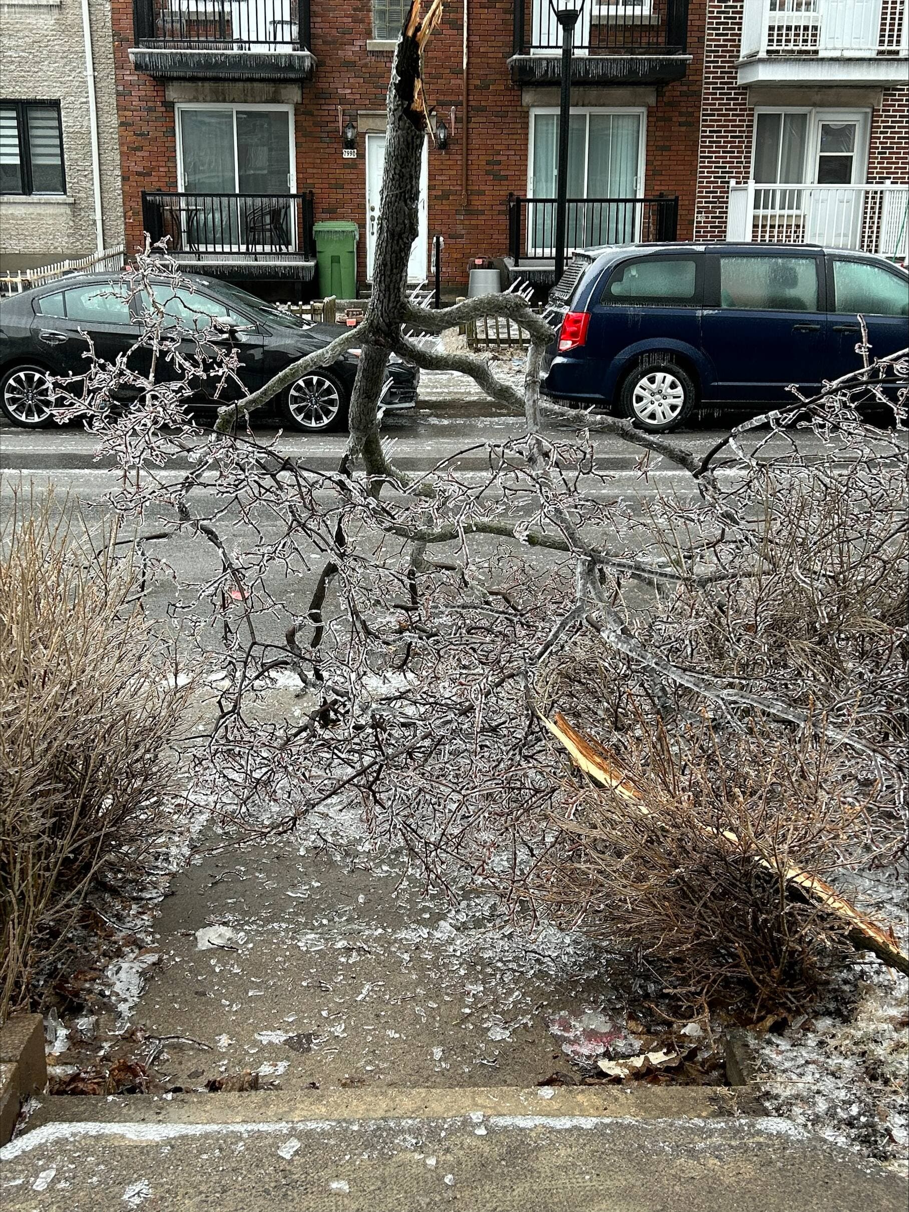 Courtoisie Louis-André, Villeray