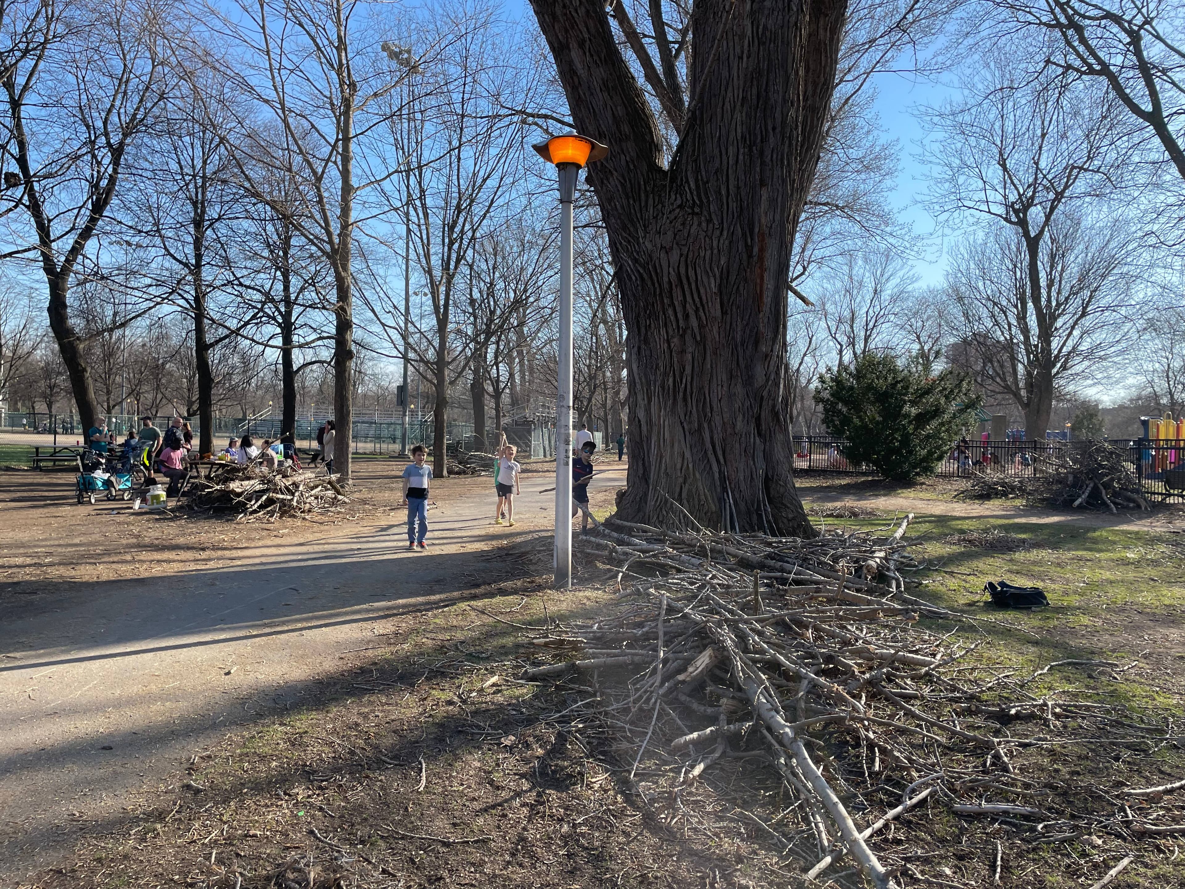 De nombreuses branches jonchaient toujours le sol du parc à cause de la tempête de verglas survenue il y a près de deux semaines.