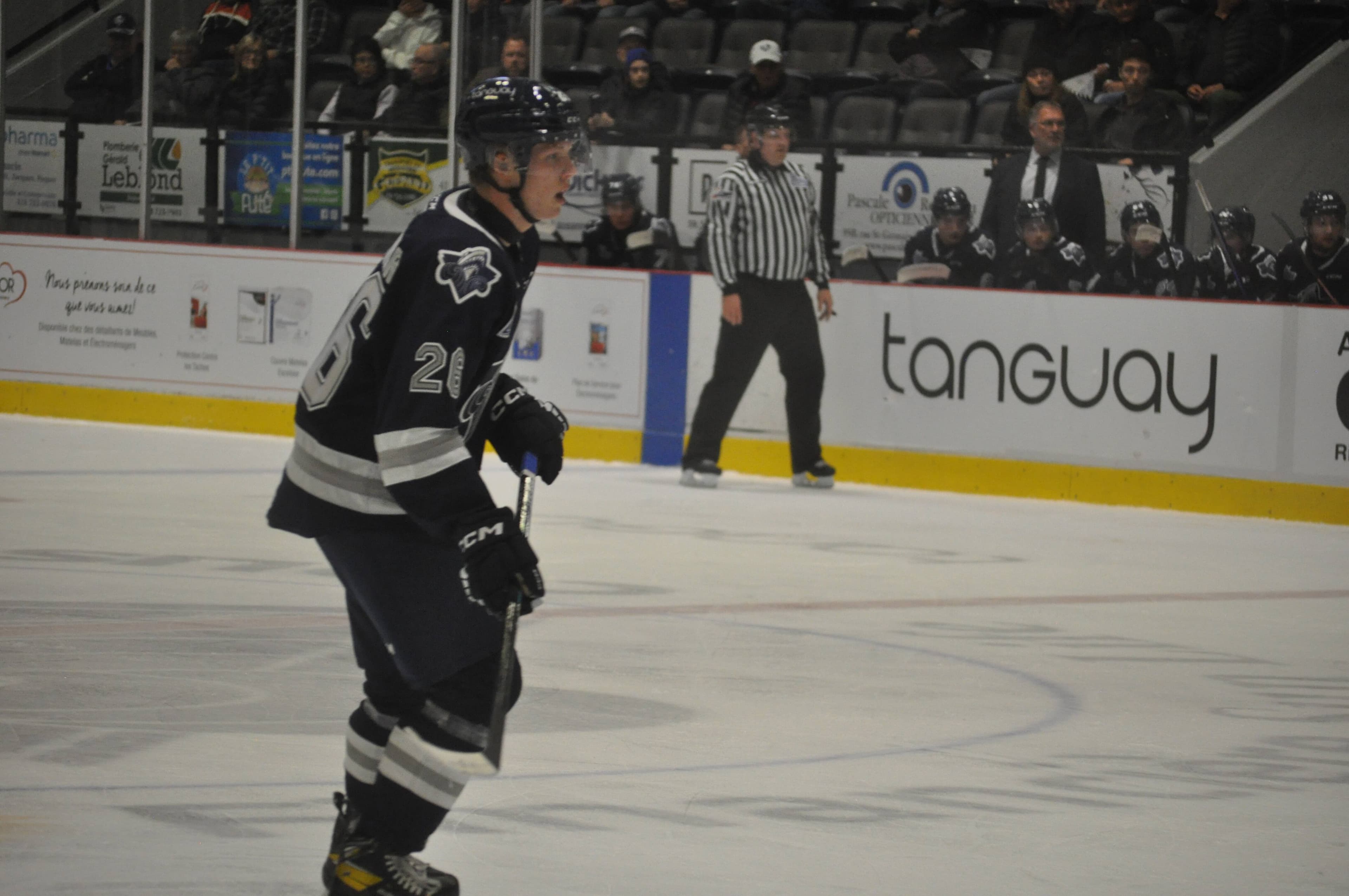 Photo collaboration spéciale, Alexandre D’Astous