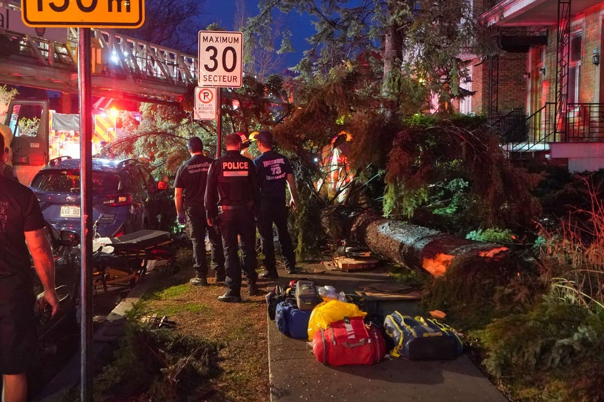 La jeune victime qui a été écrasée par un arbre, dans l'arrondissement Ahuntsic-Cartierville, a pris la direction de l'hôpital après avoir été secourue par les services d'urgence.