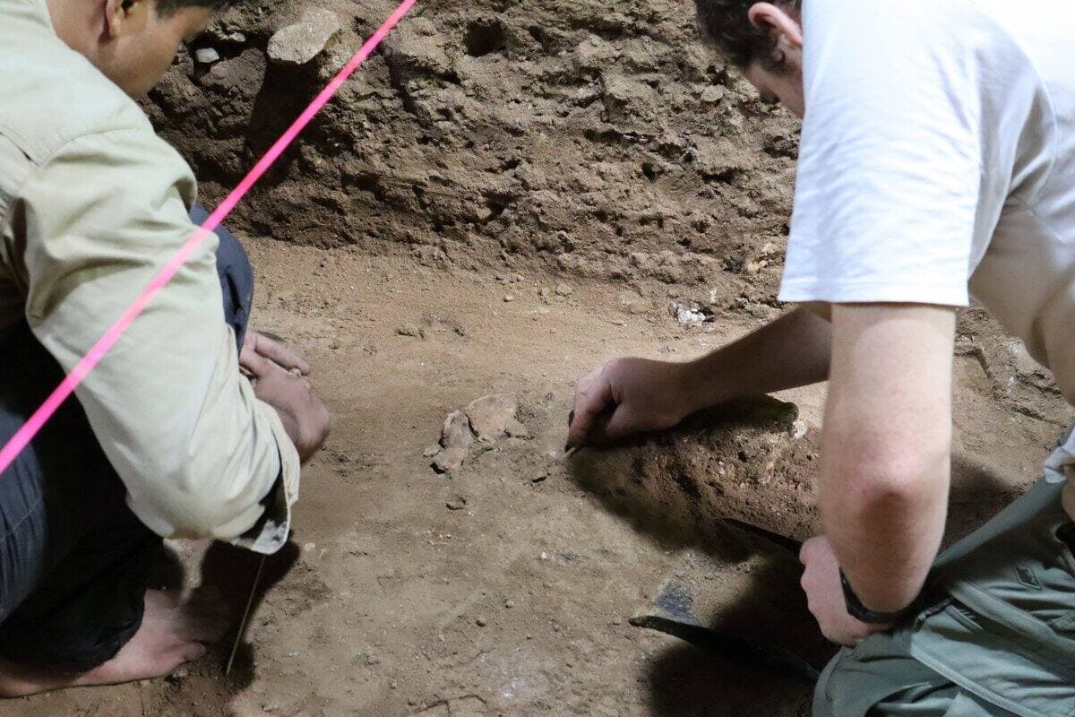 Courtoisie Tim Maloney