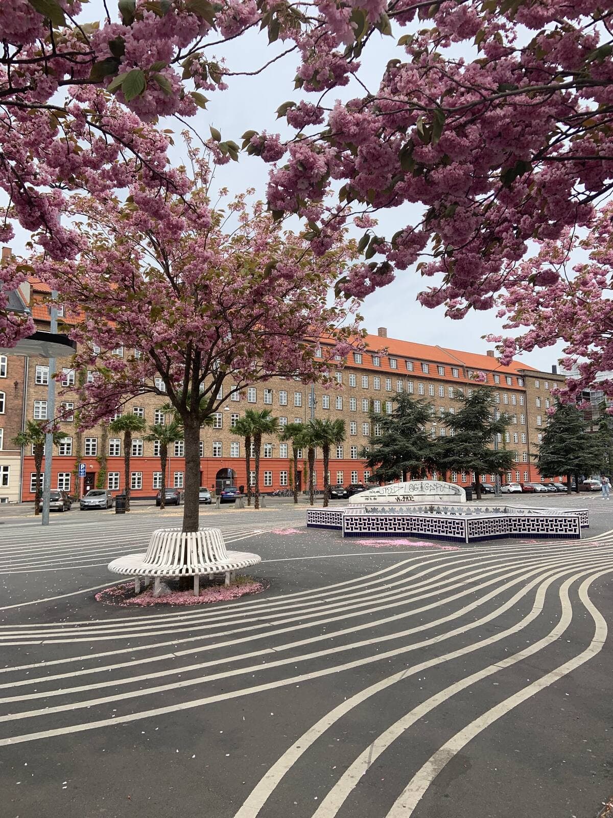 Crédit Erika Tremblay