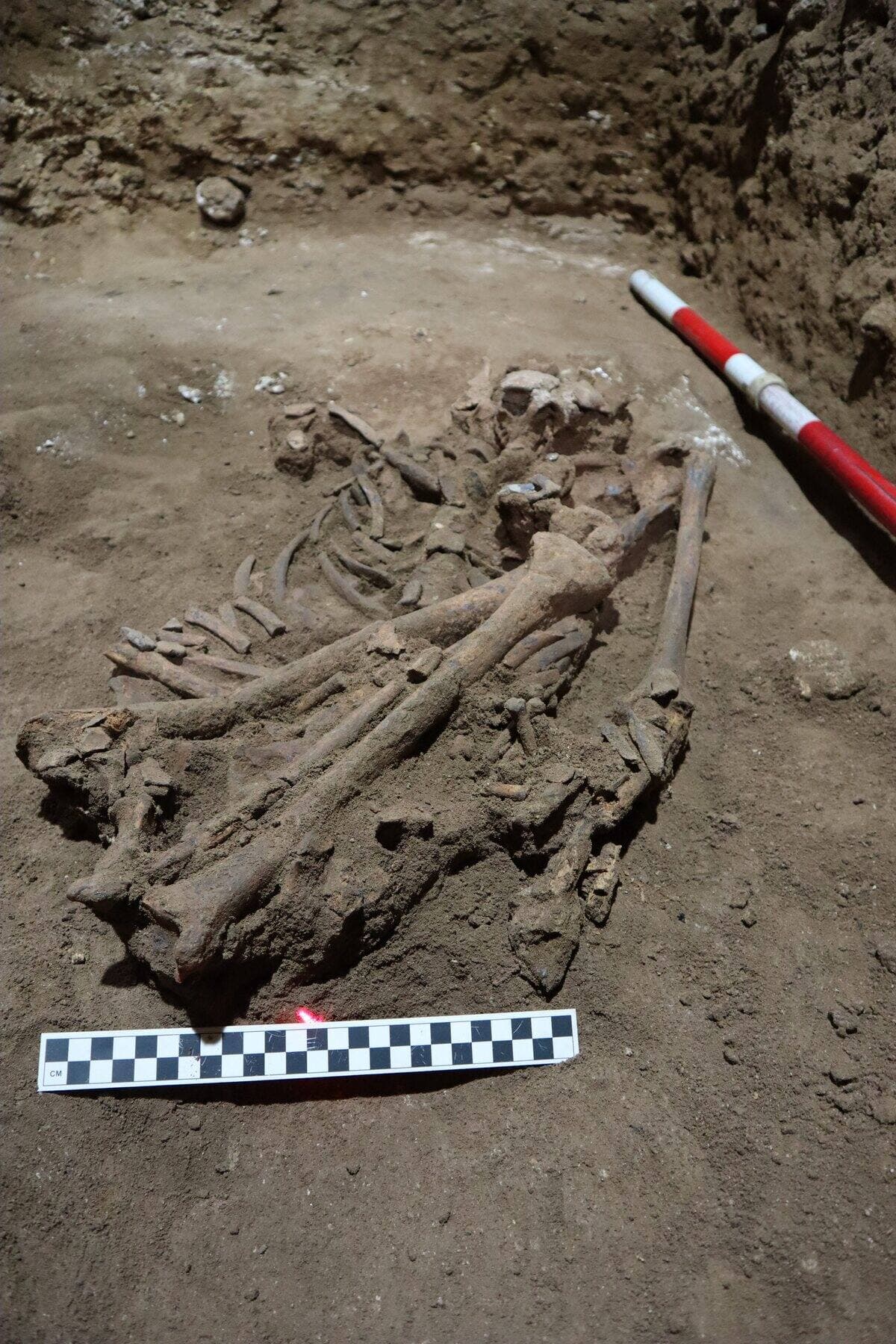 Courtoisie Tim Maloney