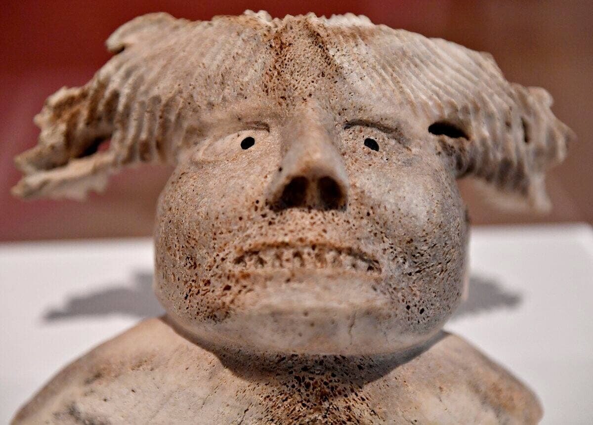 Photo Stevens LeBlanc