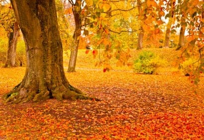 La dépression saisonnière vous affecte-t-elle?