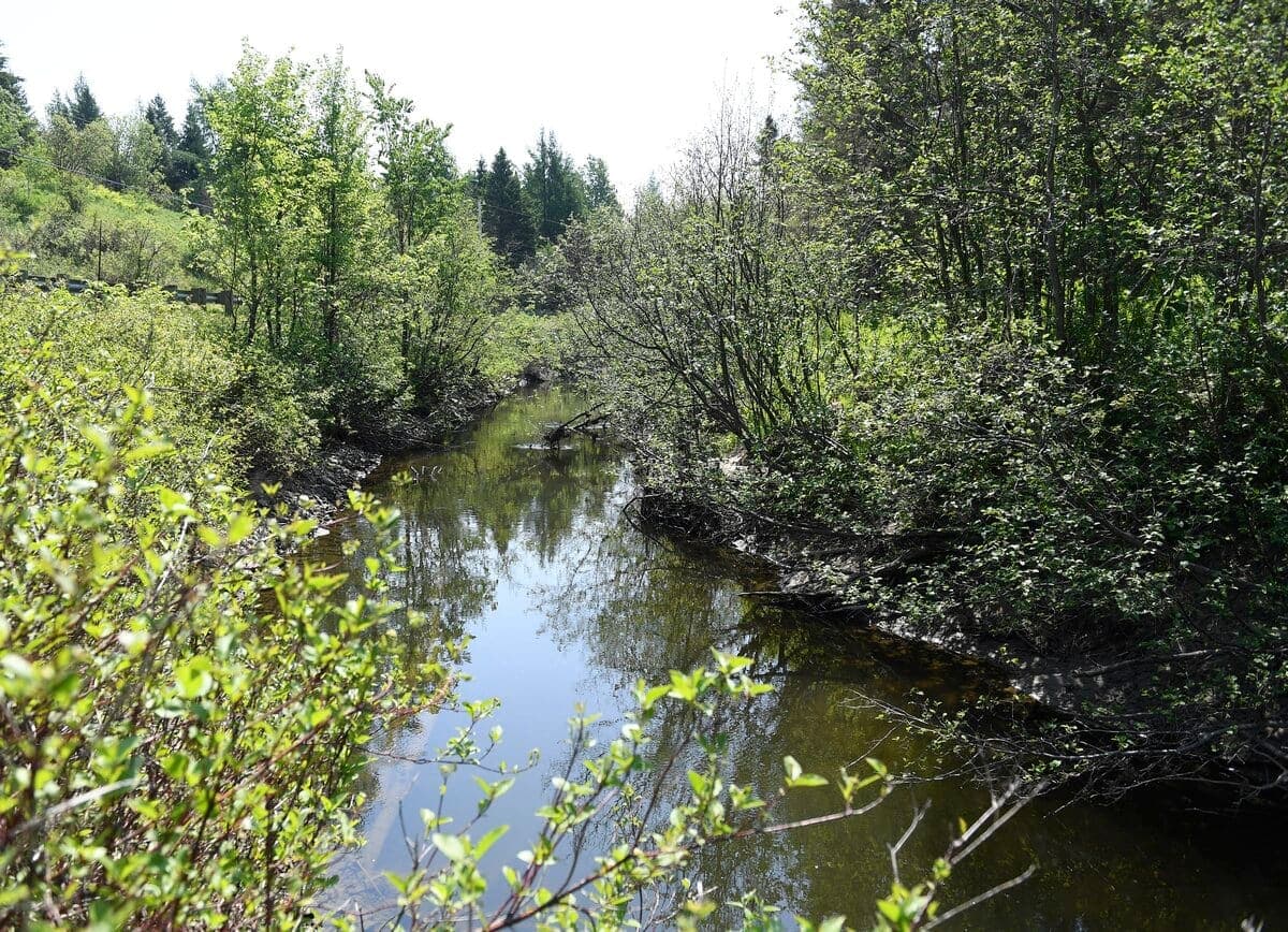 La rivière Blanche coule dans la MRC de Portneuf dans la région de la Capitale-Nationale