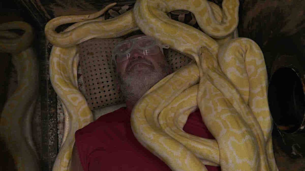 Dave pendant qu’il était enterré avec des dizaines de serpents, un défi au cours duquel il a dû réunir tout son courage pour aller jusqu’au bout, au début de la 2e saison.