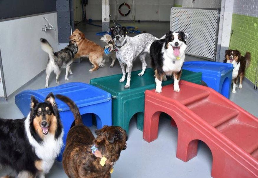 Facebook Hôtel Muzo