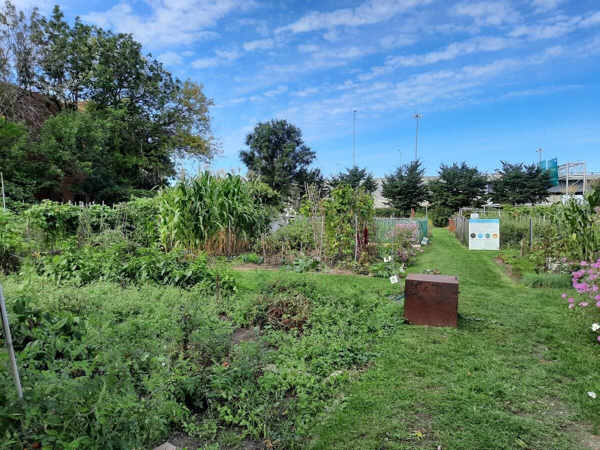 MAXIME AUGER/24 HEURES/AGENCE QMI